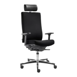Arbeitsstuhl Dauphin TEC 24/7 Adjust, Mit Armlehnen, Syncro-Quickshift-Mechanik, Schwarz