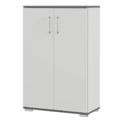 Flügeltürenschrank Profi 2.0, Aus Holz, 3 Fächer In OH, B 800 X T 400 X H 1230 Mm, Lichtgrau/graphit