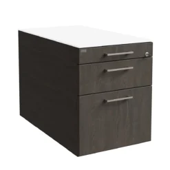 Rollcontainer SOLUS PLAY, 1 Utensilienauszug, 1 Schub, 1 HR-Auszug, Mit Griff, Mooreiche