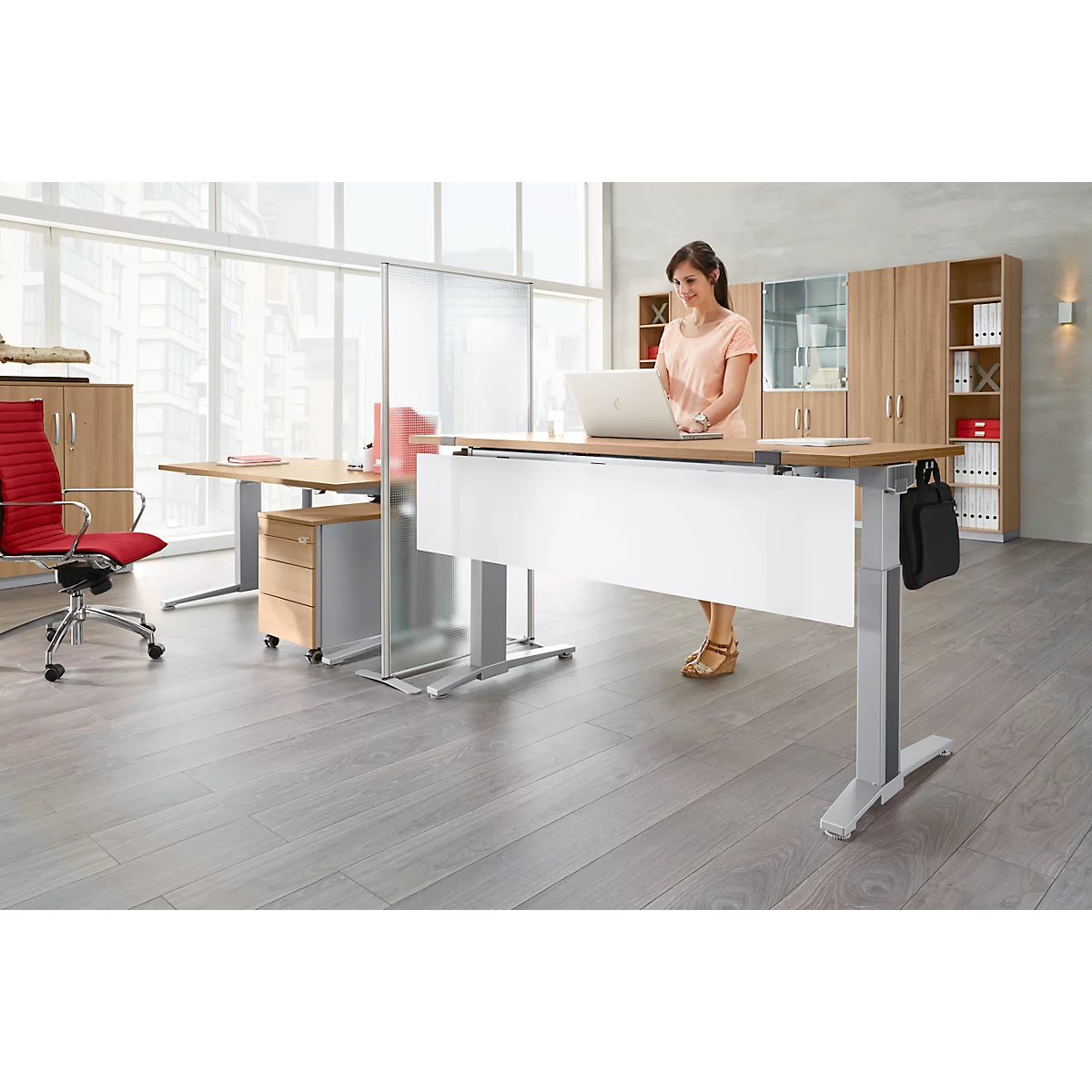 Schäfer Shop Genius Schreibtisch PLANOVA ERGOSTYLE, Elektrisch Höhenverstellbar, Rechteck, C-Fuß, B 1600 Mm, Lichtgrau/weißalu 3 Schäfer Shop Genius Schreibtisch PLANOVA ERGOSTYLE, Elektrisch Höhenverstellbar, Rechteck, C-Fuß, B 1600 Mm, Lichtgrau/weißalu – Bild 3