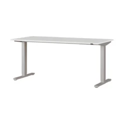 Schreibtisch Agenda, Elektrisch Höhenverstellbar, Rechteck, T-Fuß, B 1600 X T 800 X H 730-1200 Mm, Lichtgrau/silber + Kabelschacht