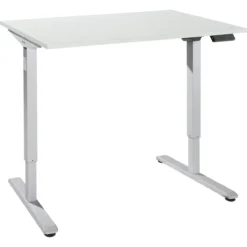 Schreibtisch, Elektrisch Höhenverstellbar, Rechteck, T-Fuß, B 1200 X T 800 X H 755-1255 Mm, Lichtgrau/weißalu + Memory-Bedienpanel, Kabelkanal