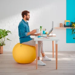 Sitzball Leitz Ergo Cosy, Stärkung Der Rücken- Und Rumpfmuskulatur, Stoffüberzug, ⌀ 650 Mm, Gelb -Berühmt Büromöbel Geschäft sitzball leitz ergo cosy staerkung der ruecken und rumpfmuskulatur stoffueberzug 650 mm farbauswahl img SI 141502 E